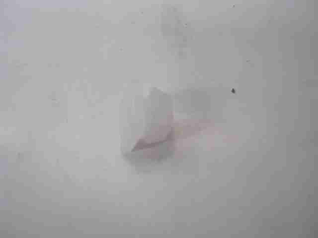 Product 136051087