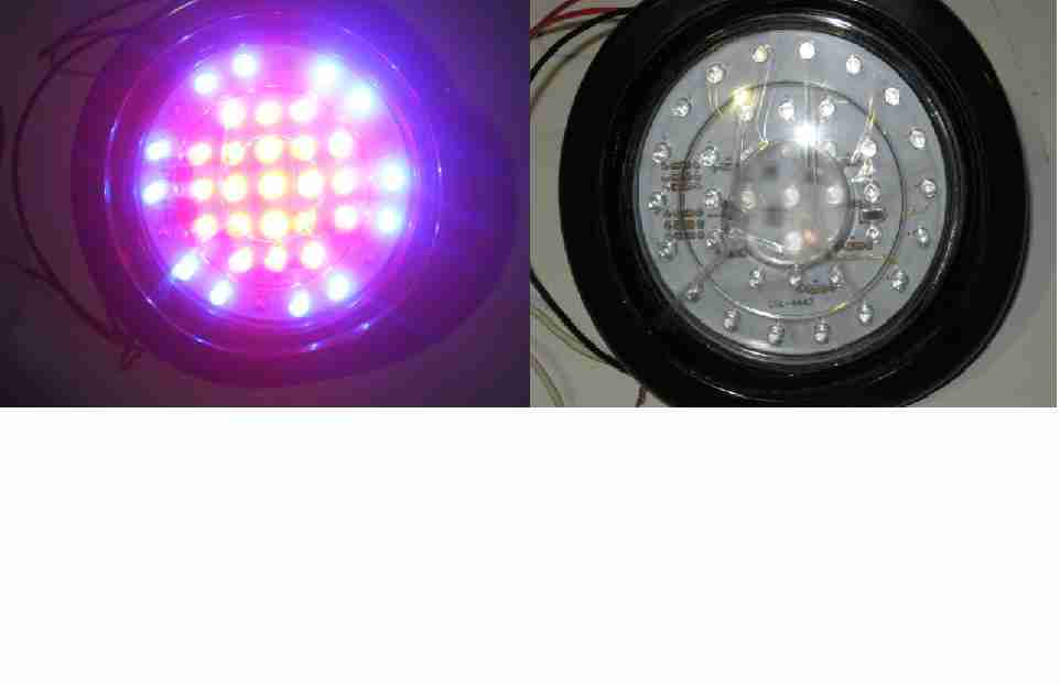 Product 186038013
