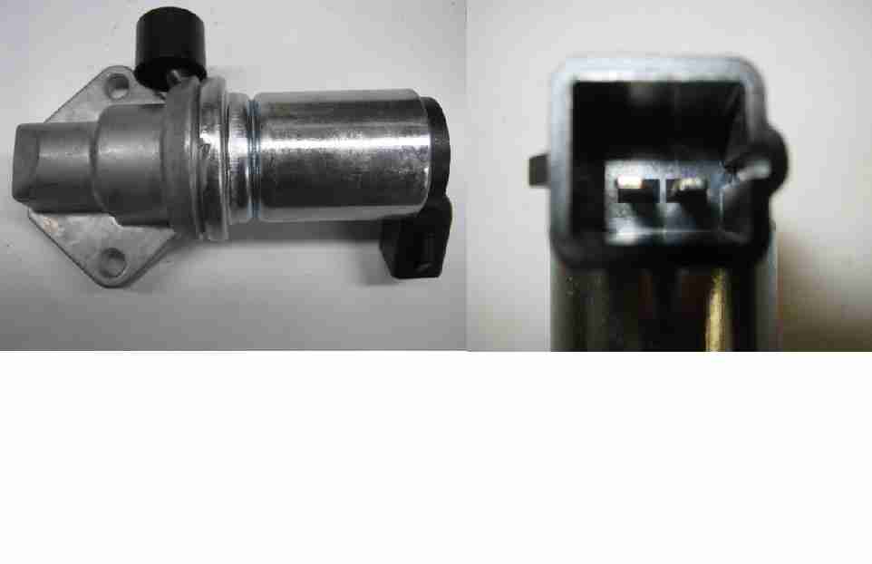 Product 254076002
