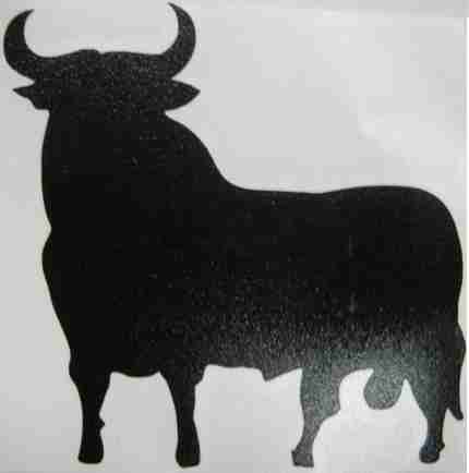 Product 300051013