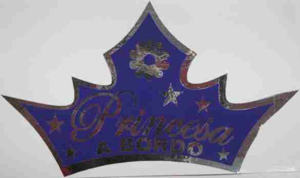 Product 300051021