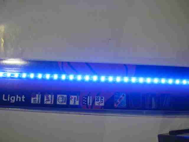 Product 302038019